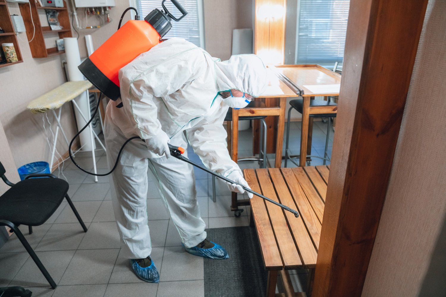 Pest Control Services: Your Trusted Source for Professional Pest Management