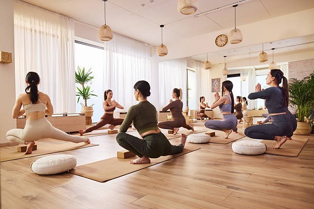 Comparing Premium Botanical Brands for Safety and Quality