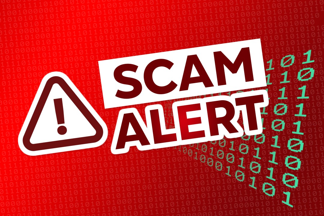 Beware Before You Trust: Spot the Scam Early