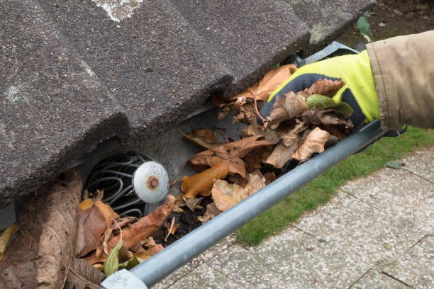 Vacuum Gutter Cleaning a Smarter Way to Keep Gutters Clear