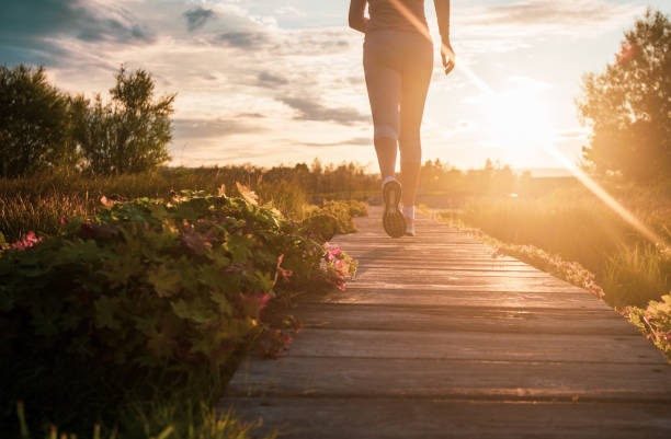 The Practical Guide to Sustainable Health